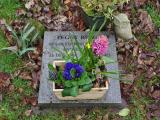 image of grave number 614379